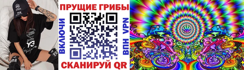 darknet телеграм Кувандык Галлюциногенные грибы MAGIC MUSHROOMS купить закладку